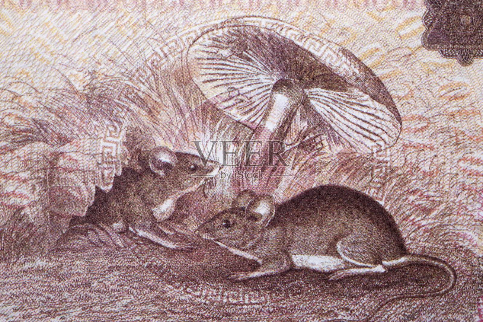 中国钱里的老鼠插画图片素材