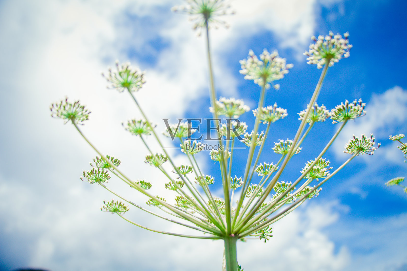 台湾摄影照片摄影图片