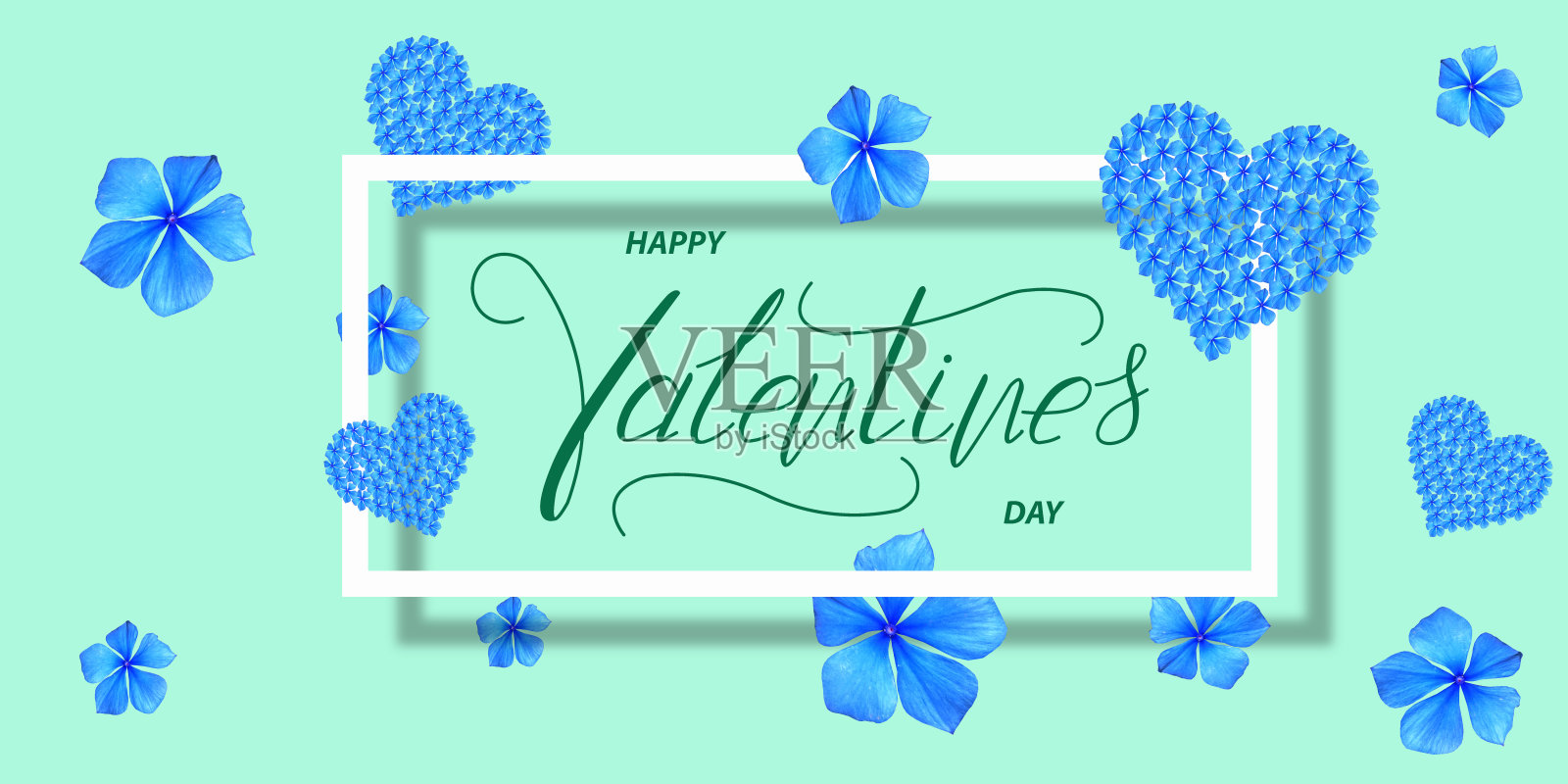 情人节快乐贺卡、在线banner:绿色背景上的情人节照片摄影图片