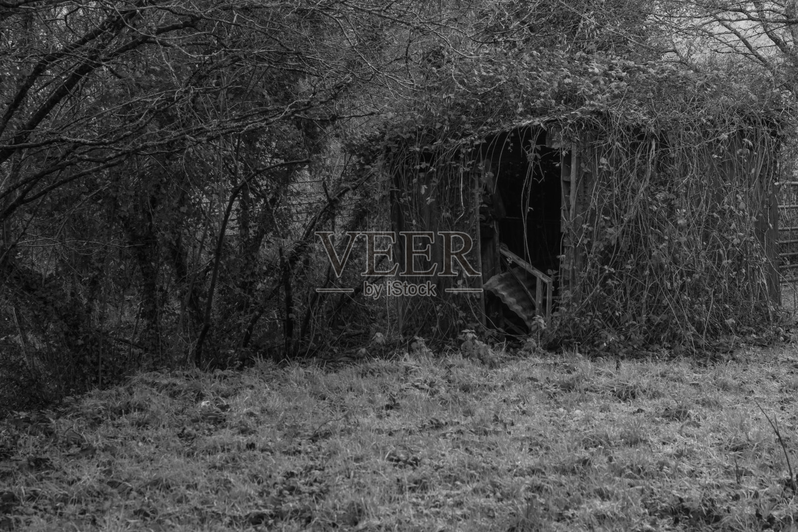 旧的小屋照片摄影图片