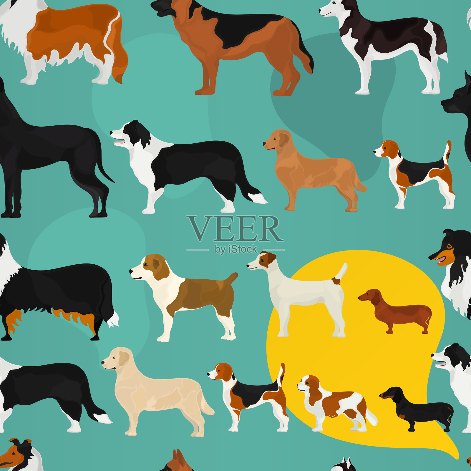 无缝载体模式的基础上,不同品种的犬插画图片素材