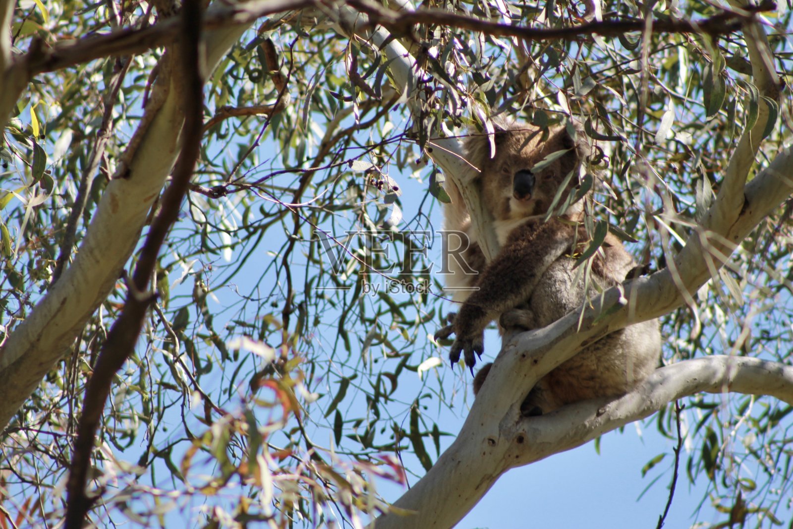 出去玩!照片摄影图片