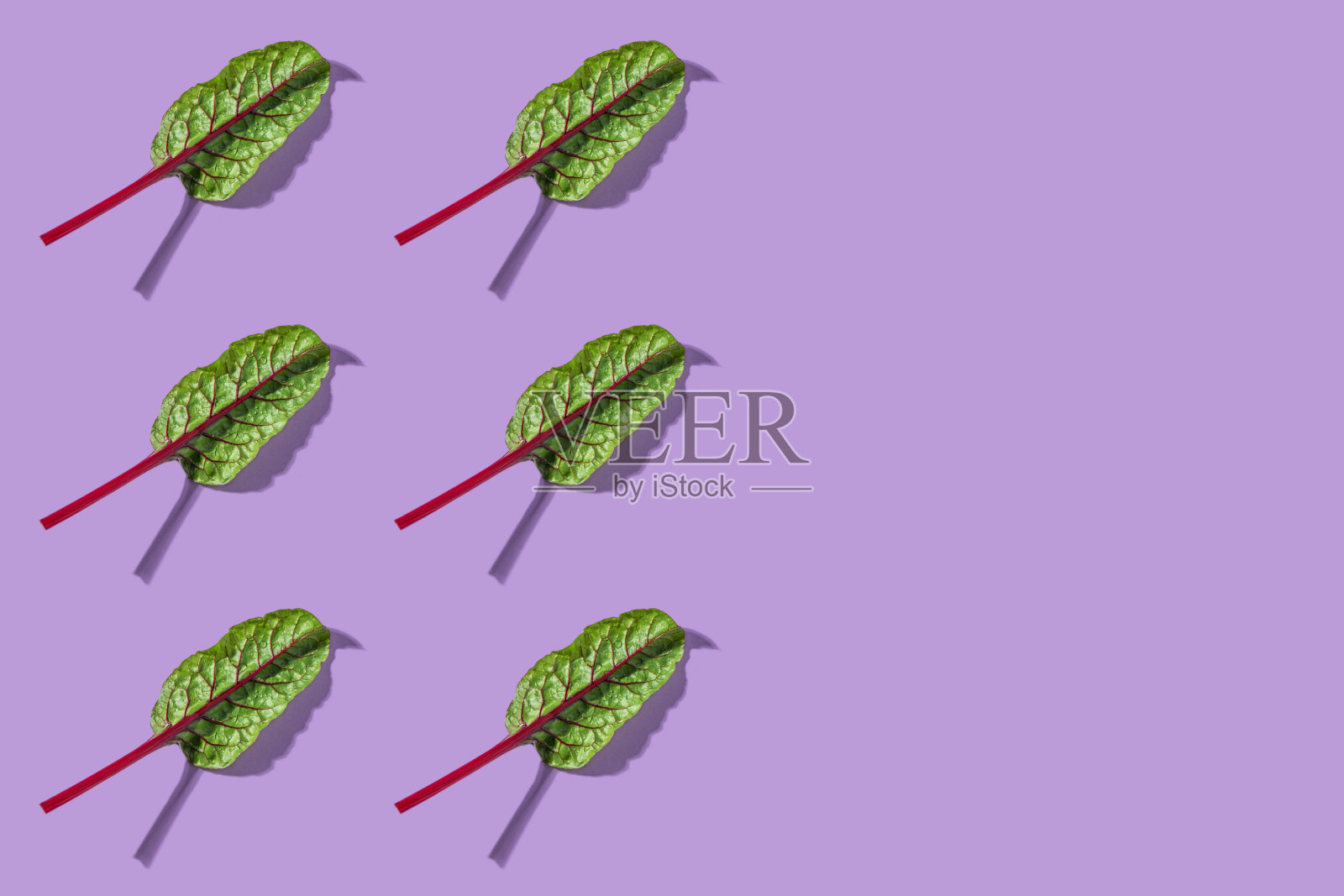 红甜菜叶宏原始图案节奏在一排紫色的背景照片摄影图片
