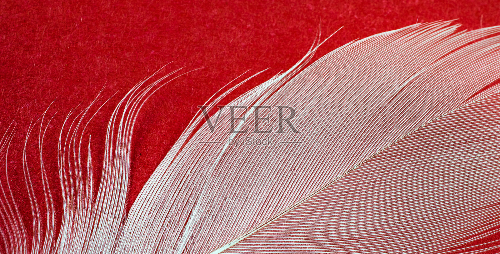 带有可见细节的粉色棉布。背景照片摄影图片