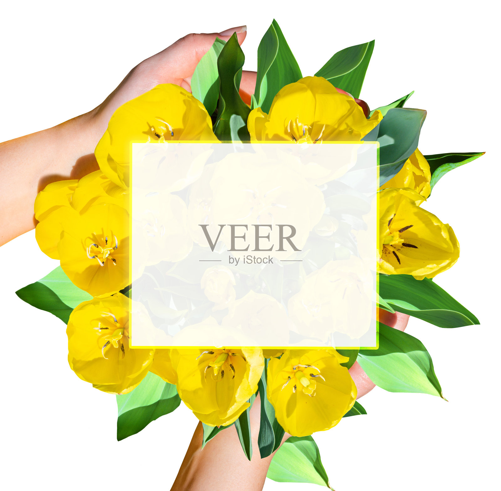 母亲节的花束边框。照片摄影图片