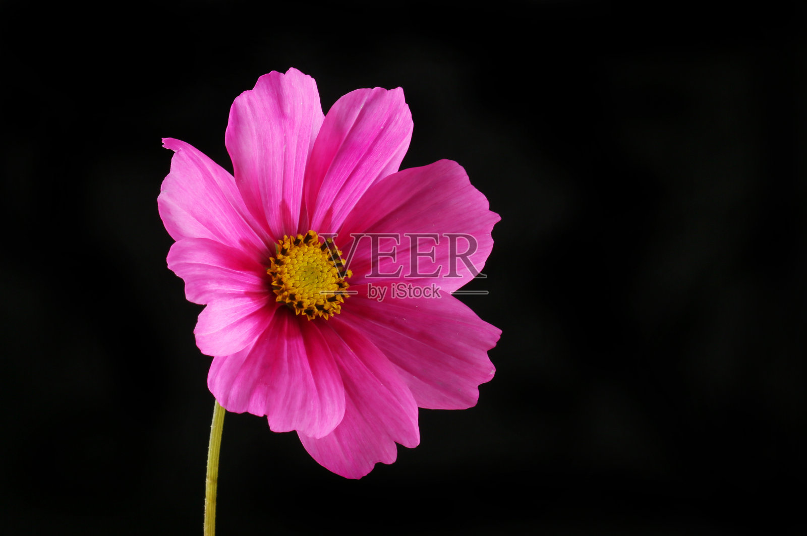 宇宙与黑色照片摄影图片