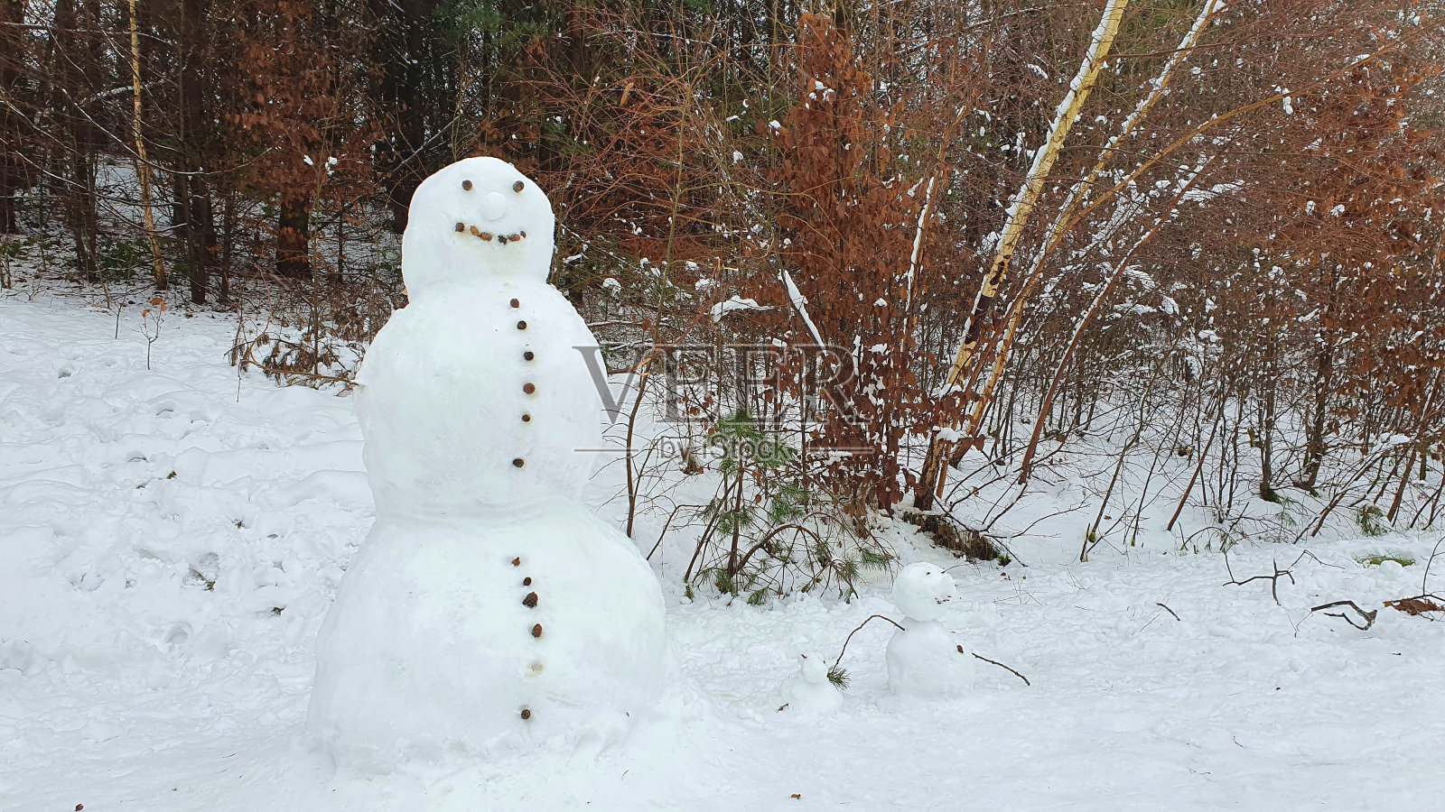 一个真实的雪人的特写在一个冬天的森林里的雪照片摄影图片