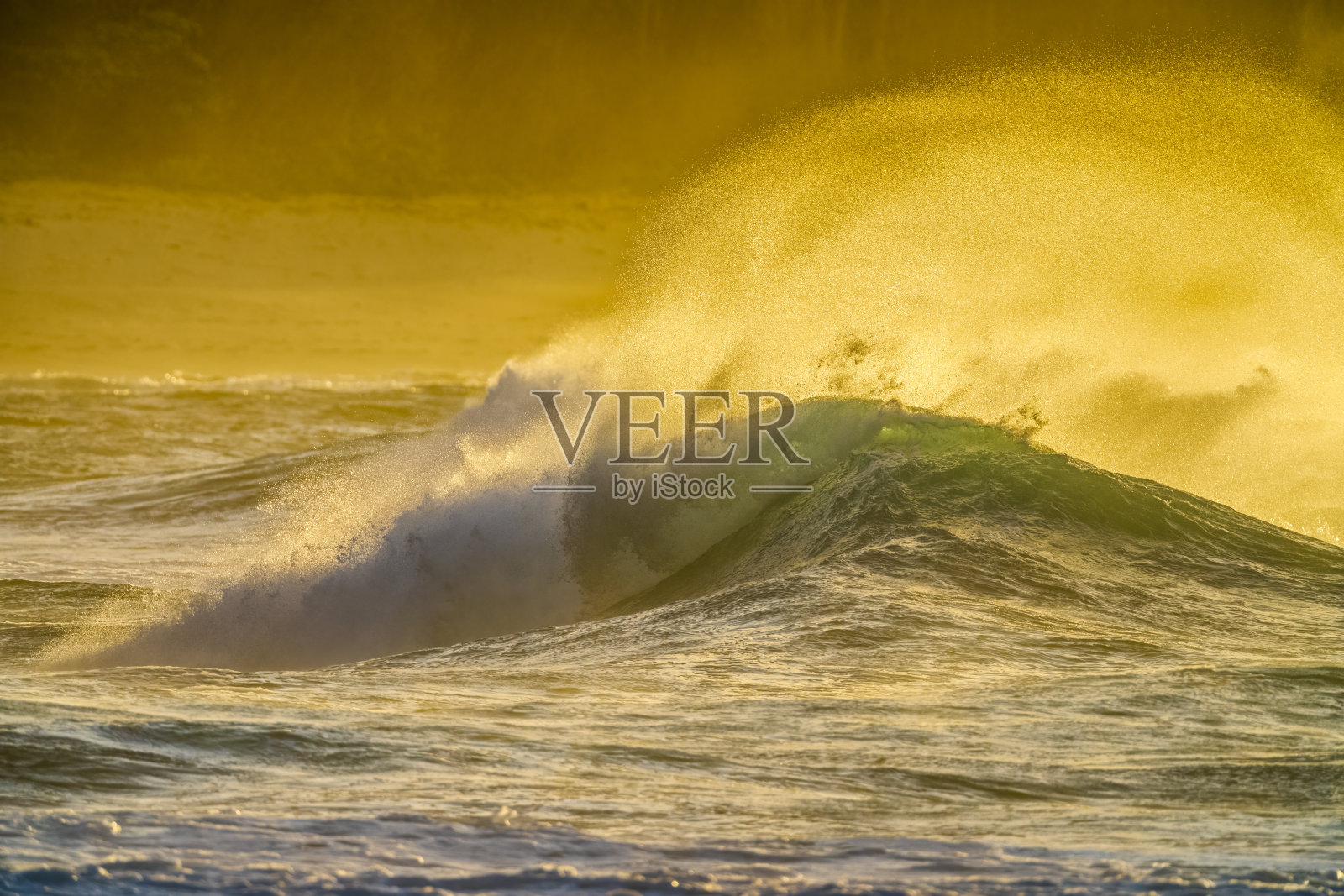 夏威夷的瓦胡岛照片摄影图片