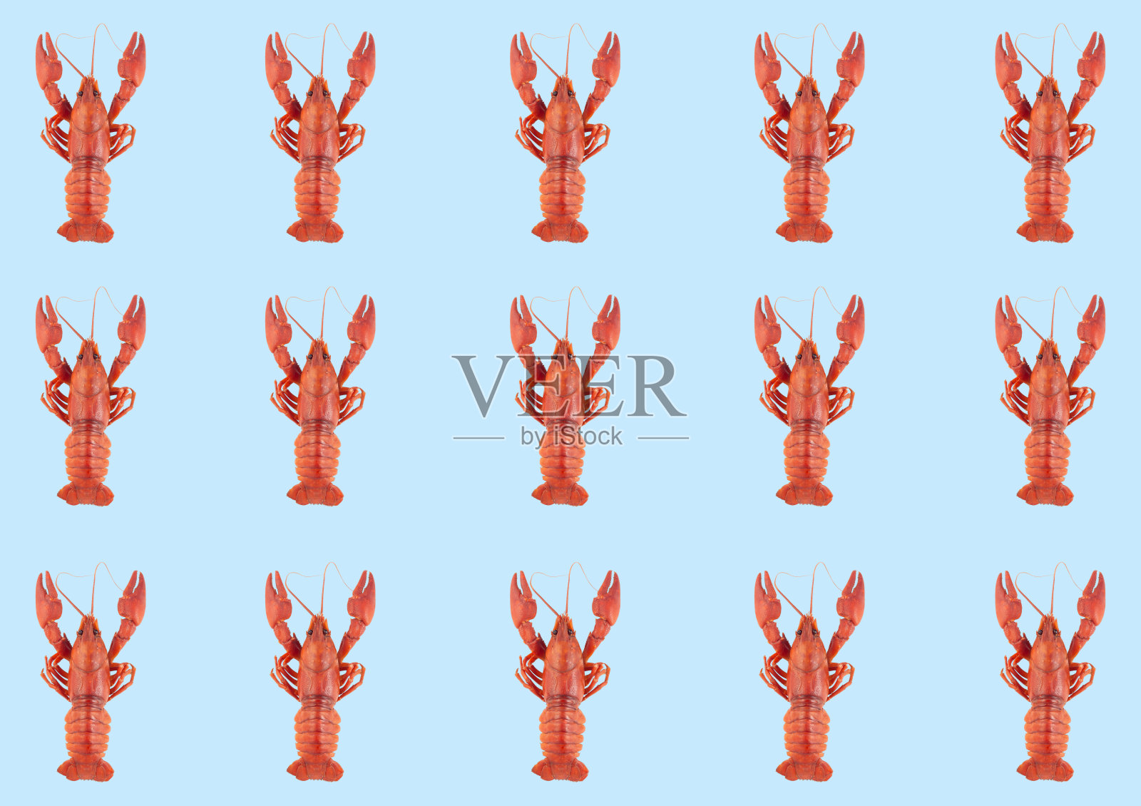 图案与红色小龙虾在蓝色的背景,水平,俯视图照片摄影图片