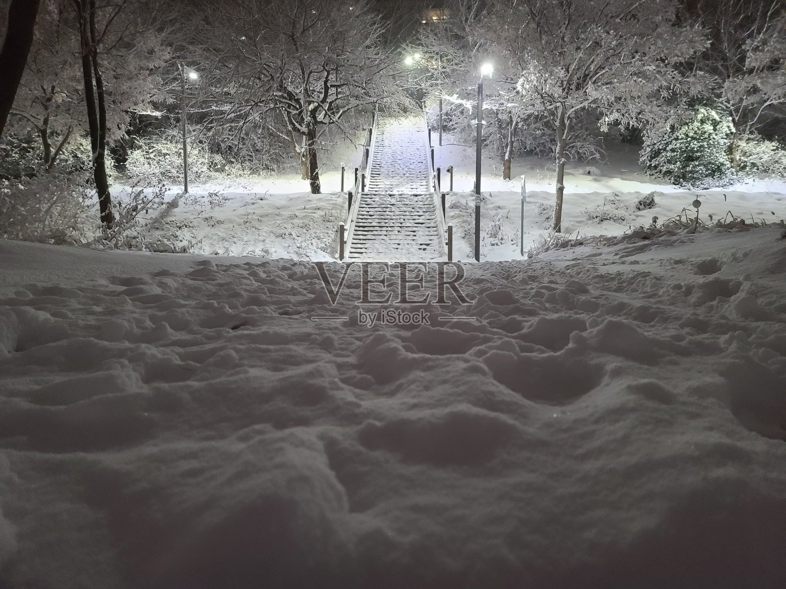 冬夜景色一片大雪照片摄影图片