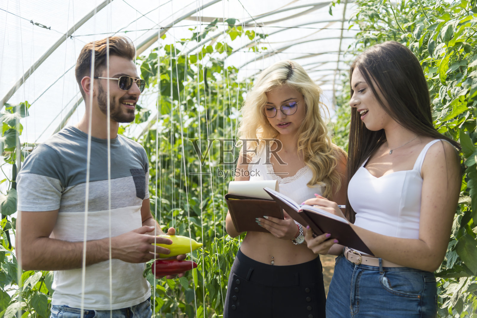 农业技术专业的学生在大学的温室里学习照片摄影图片
