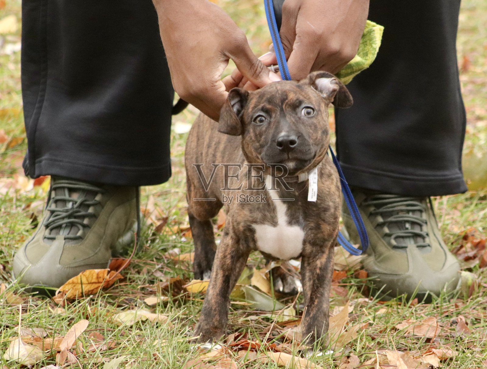 时间去照片摄影图片