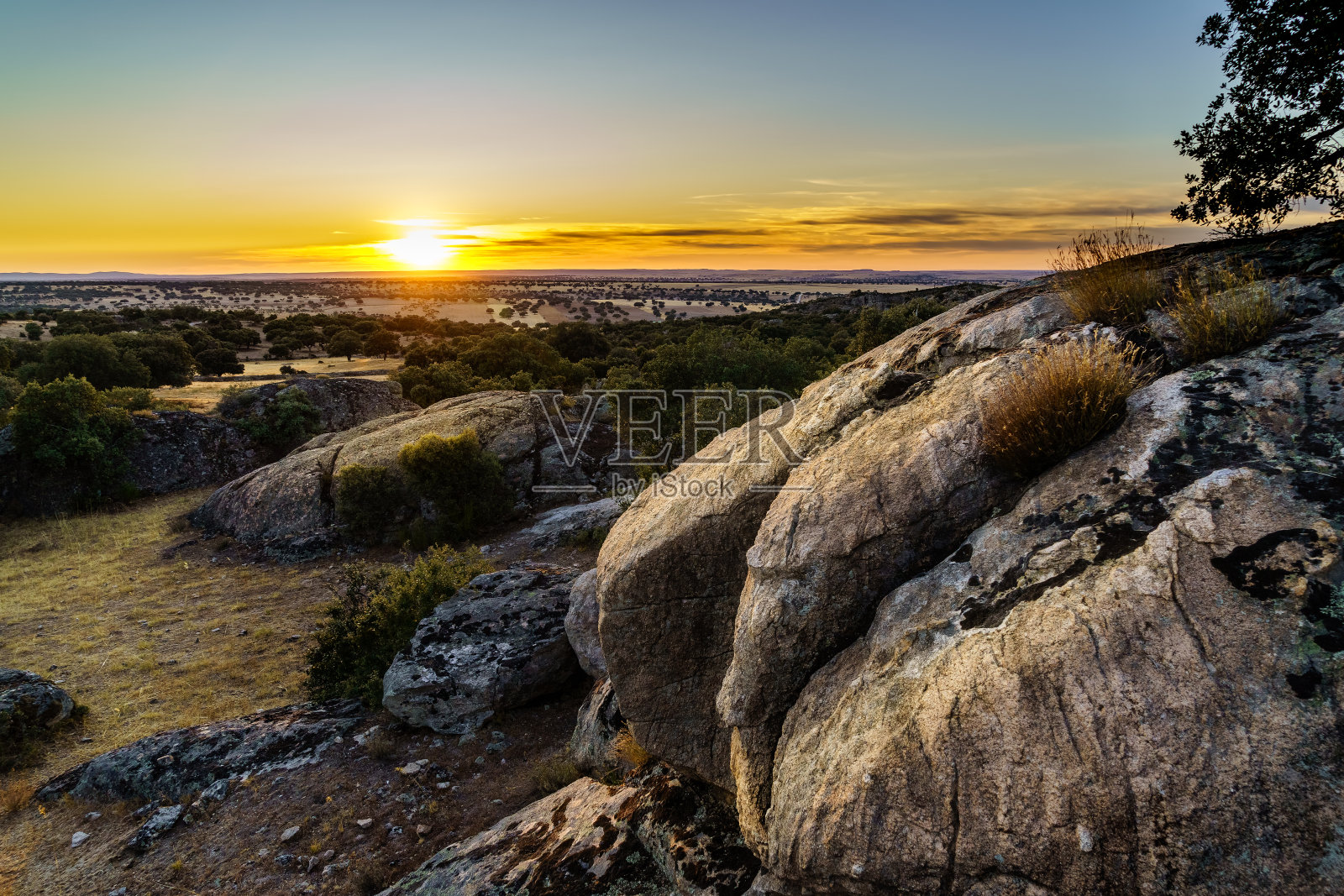 日落的乡村与树木和大岩石。照片摄影图片