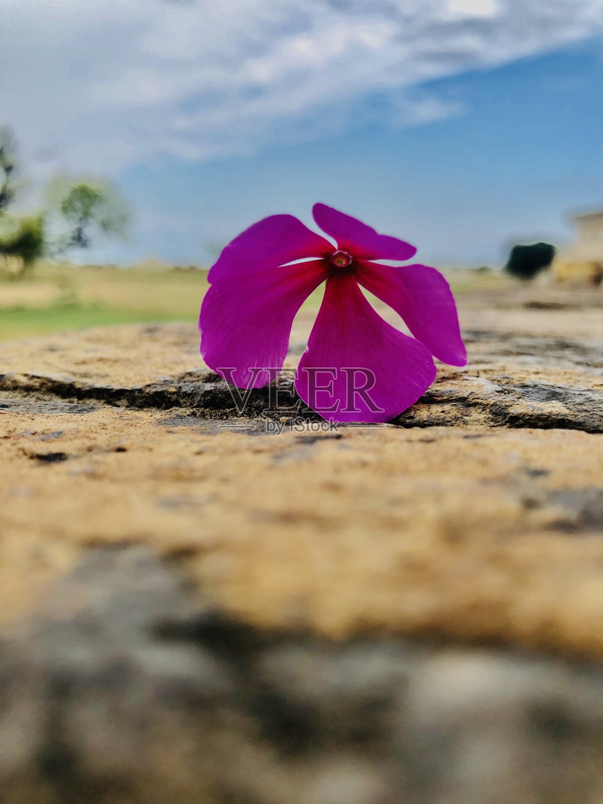 自然照片摄影图片