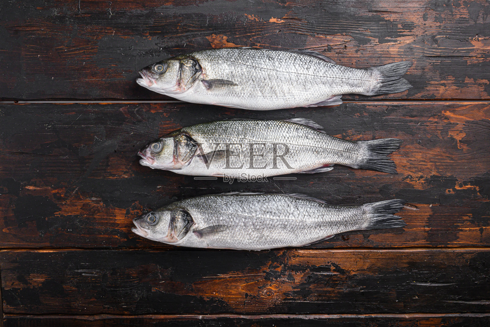 鲈鱼上老渔夫木制桌子顶部的文本视图空间。照片摄影图片