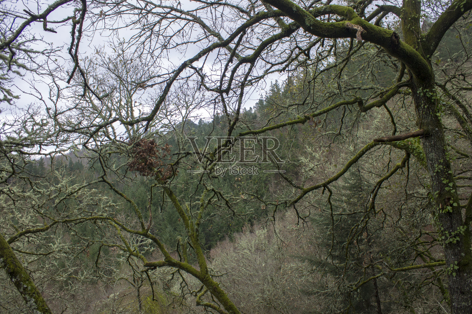 圣佩德罗·德·罗卡斯修道院照片摄影图片