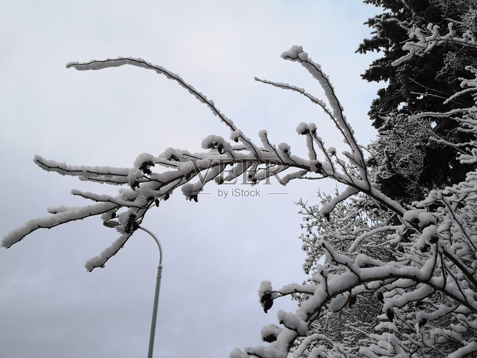 冰雪覆盖照片摄影图片