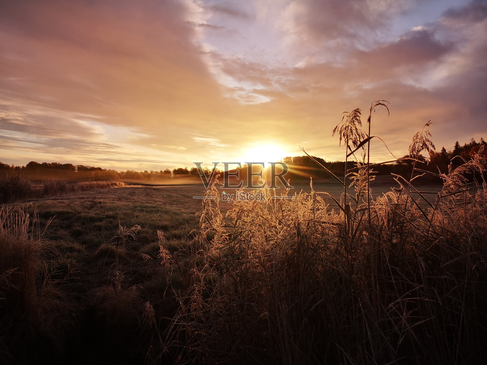 早上好照片摄影图片