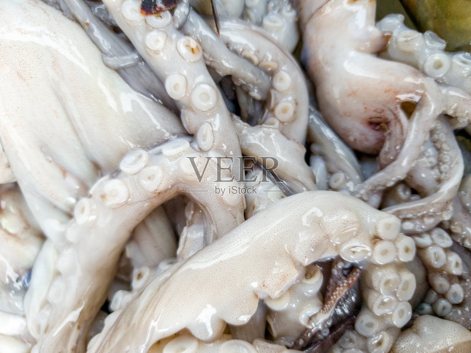 微距恶心的照片,生的黏糊糊的章鱼触手照片摄影图片