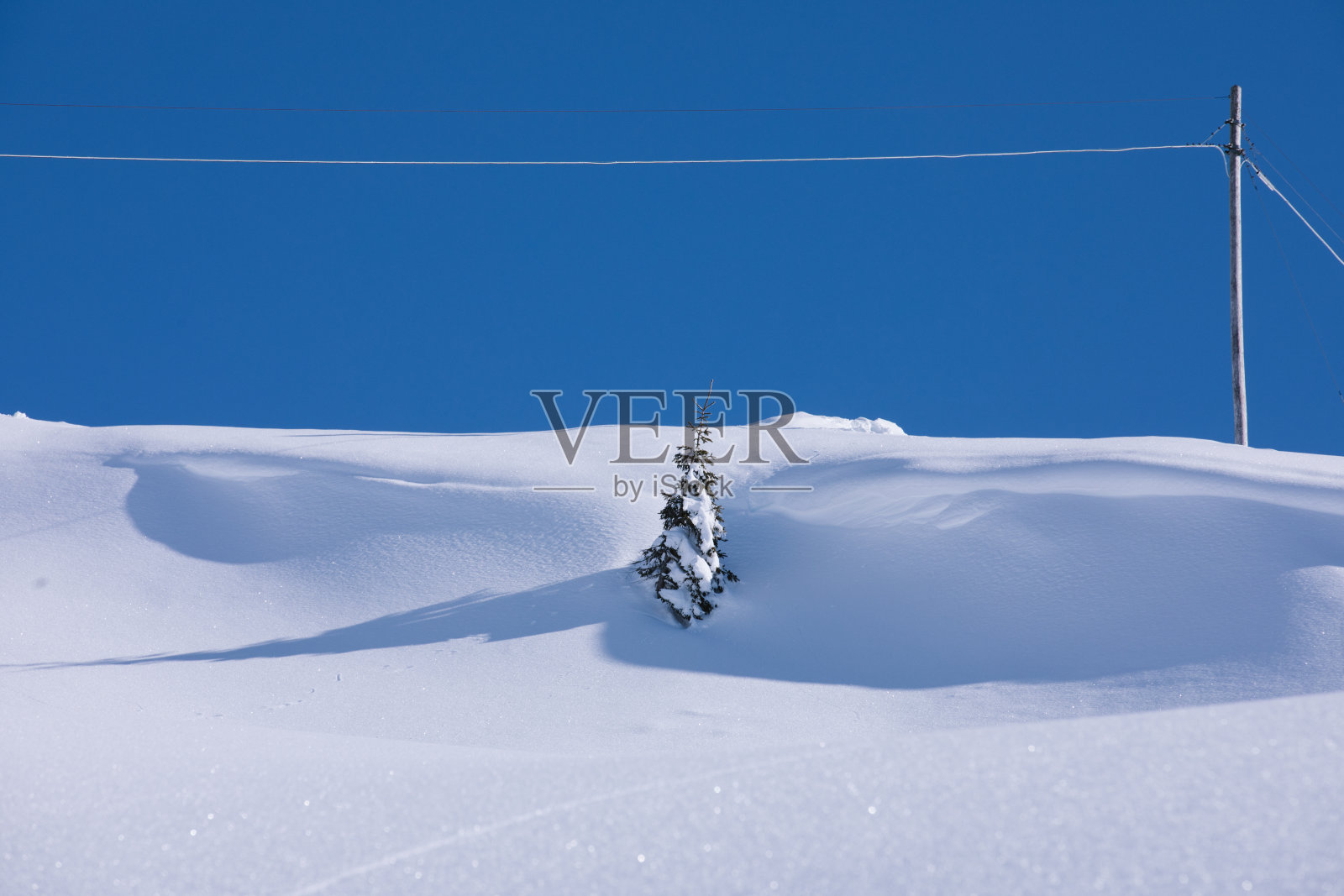 一个被雪覆盖的地方,中间有一棵孤独的被雪覆盖的树。美丽的冬天背景。照片摄影图片