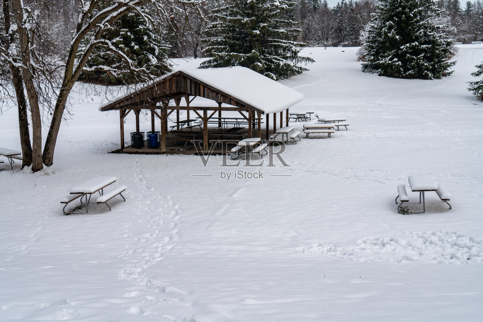 博伊德保护公园的伍德布里奇在冬天,沃恩,加拿大照片摄影图片