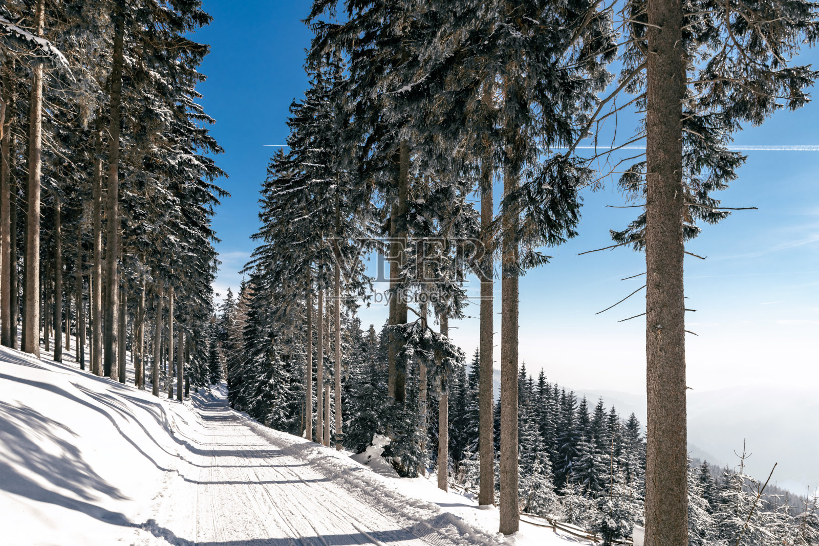 滑雪坡,阳光明媚的冬天,巨人山脉照片摄影图片