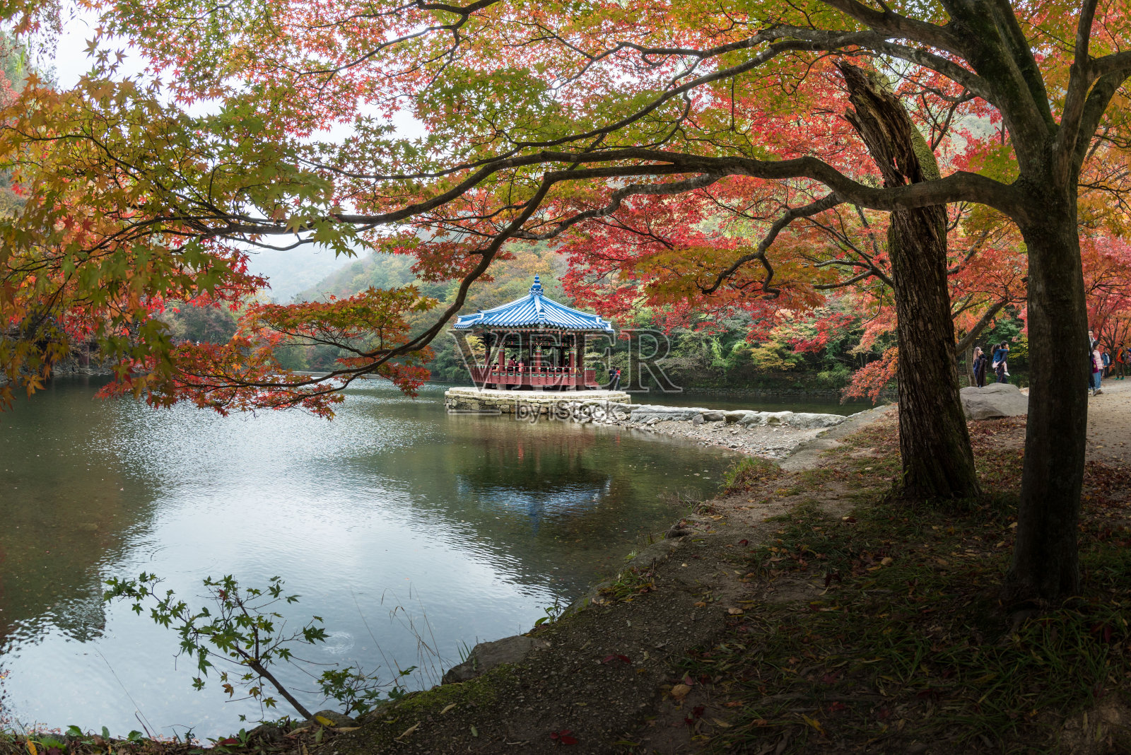 内藏山秋叶照片摄影图片