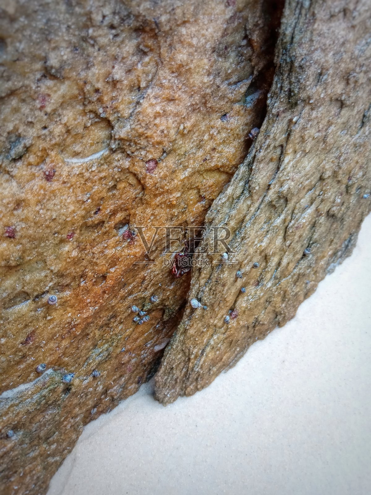 大自然的美照片摄影图片