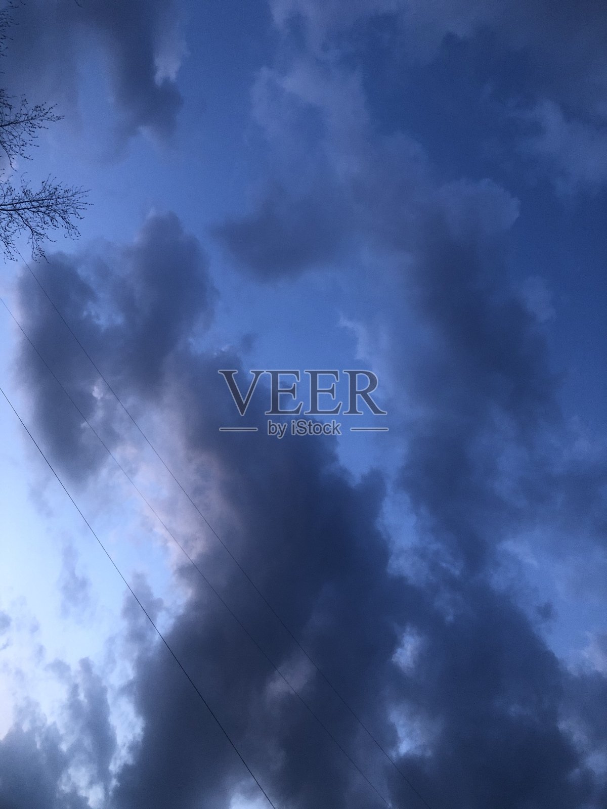 紫色的照片摄影图片