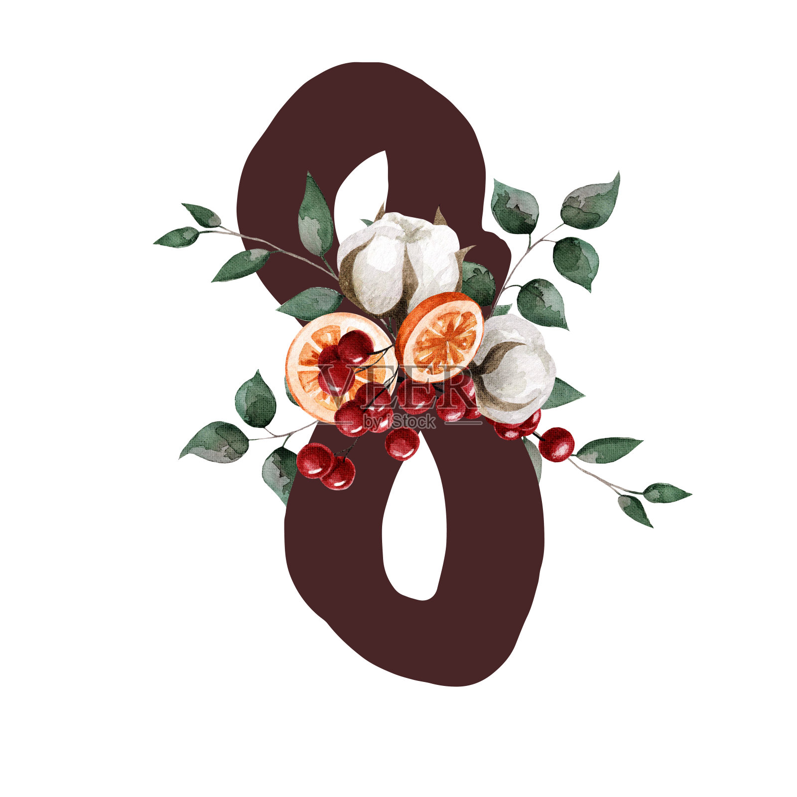 8号水彩画有叶子、棉花、浆果和橙色。适用于明信片、请柬、礼品、宣传册、网站、宣传册、文字等。插画图片素材