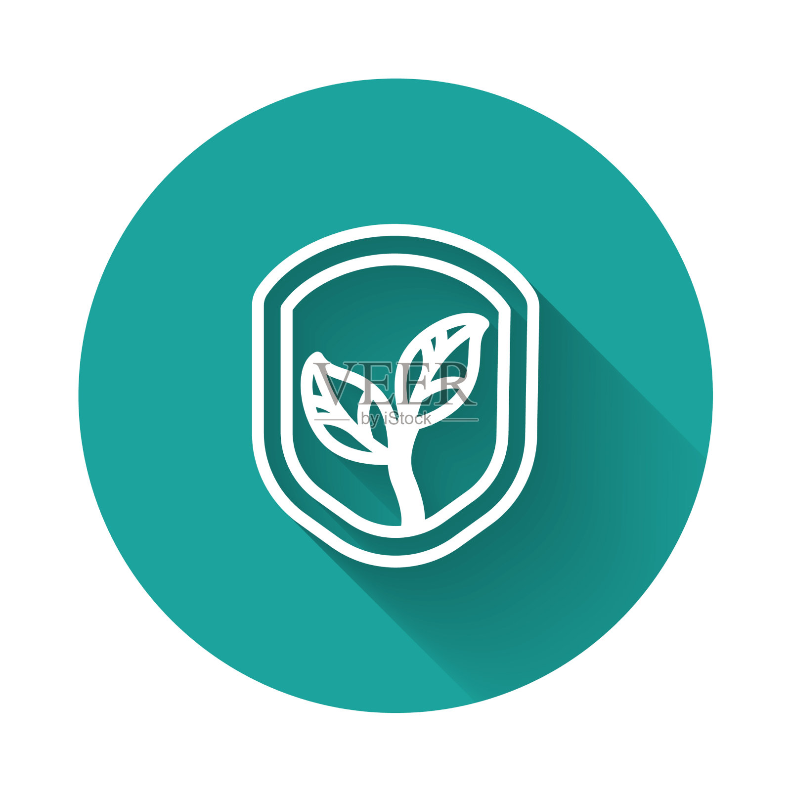 白色线盾牌与叶子图标隔离插画图片素材