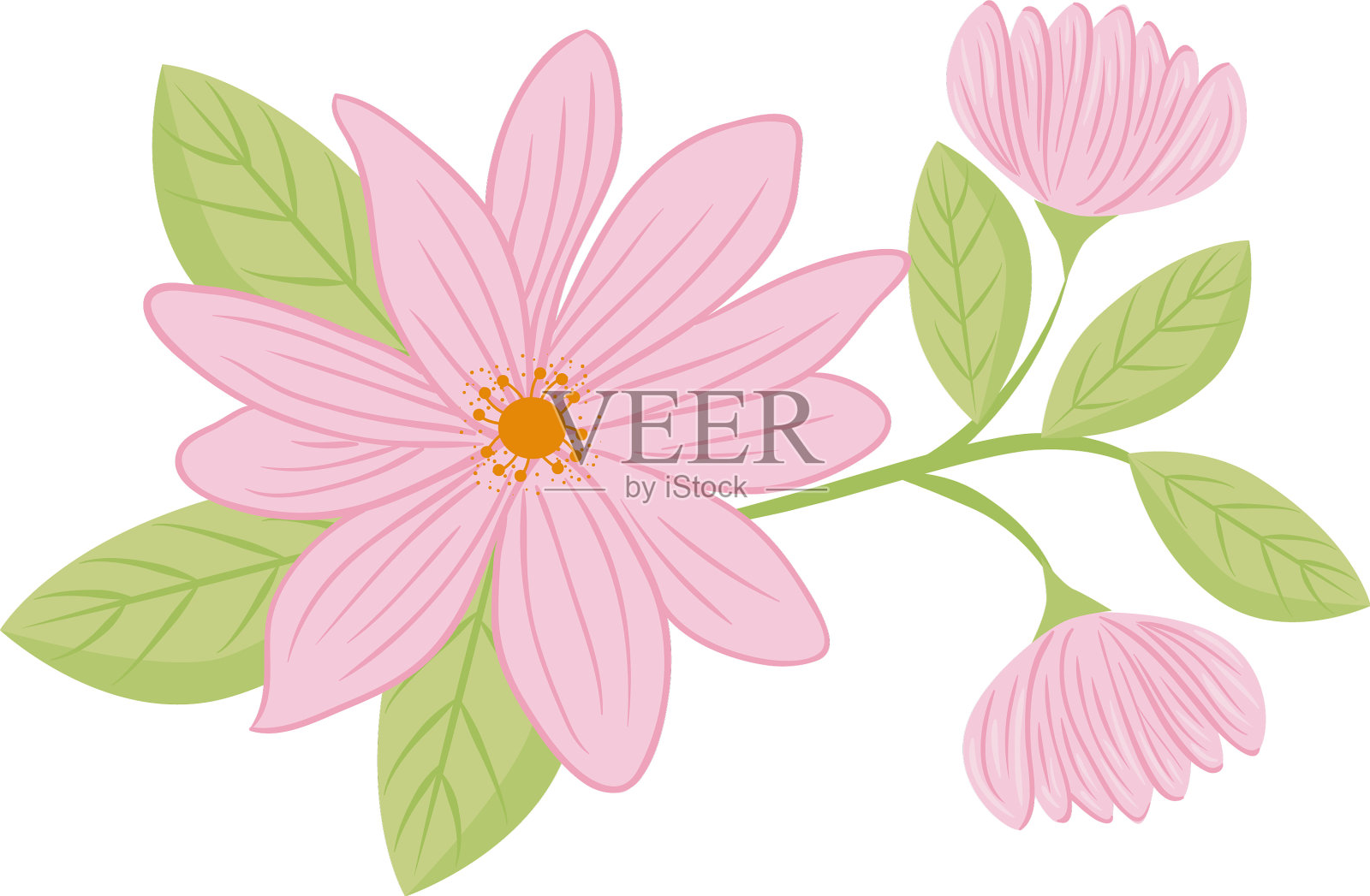 粉红色的花朵和叶子图案设计元素图片