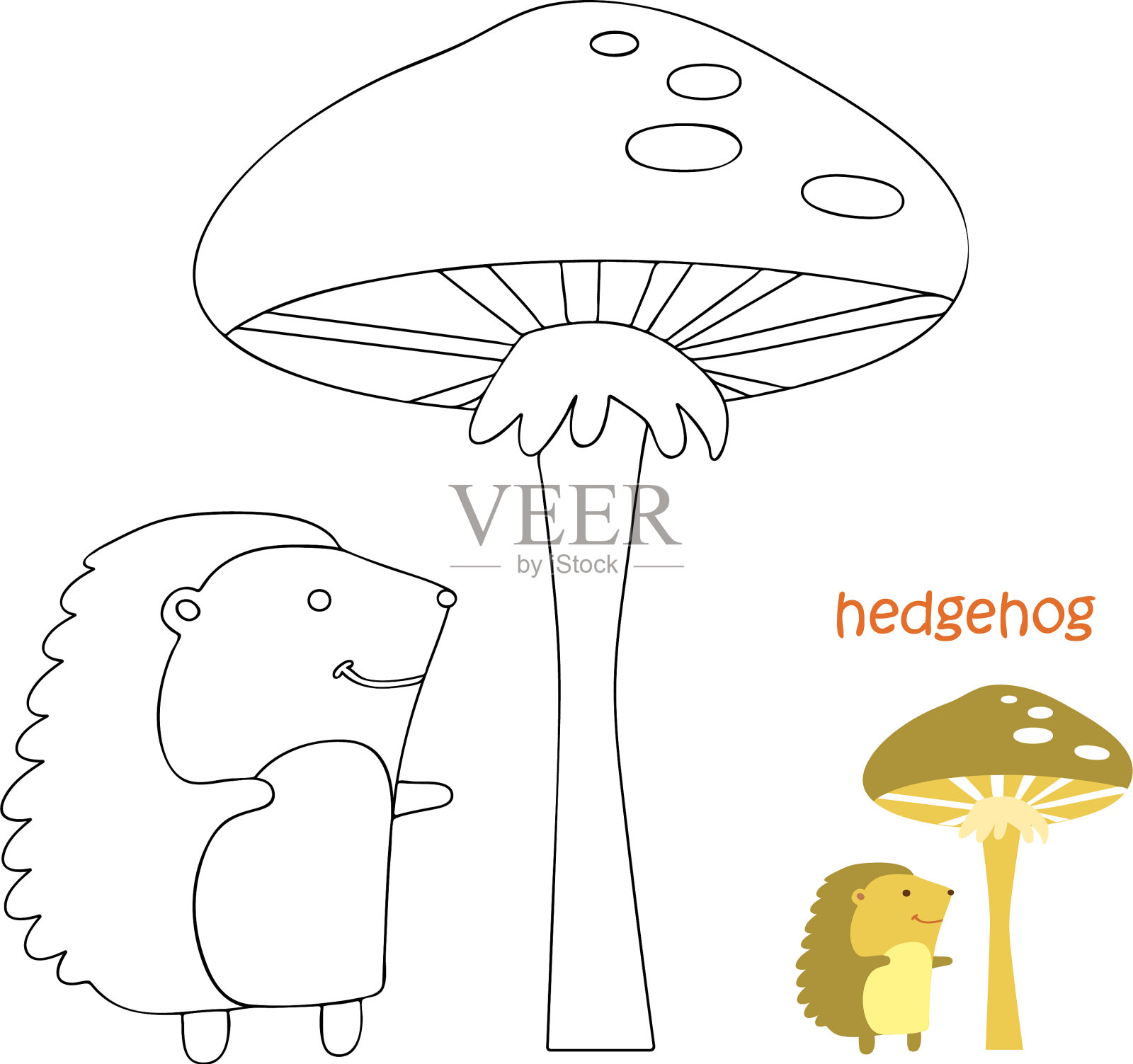 孩子涂色页-刺猬插画图片素材