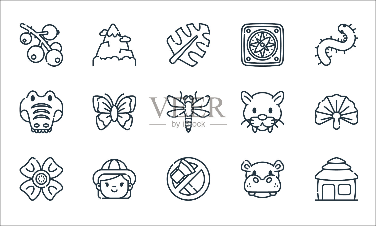 丛林线图标线性集质量线集图标素材