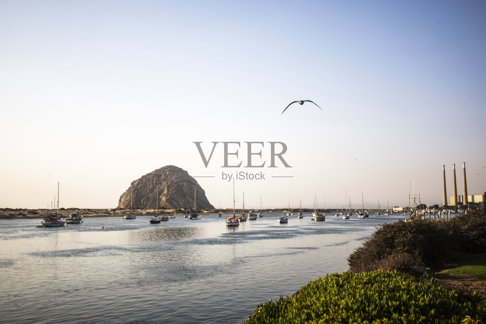 小丘加州湾照片摄影图片