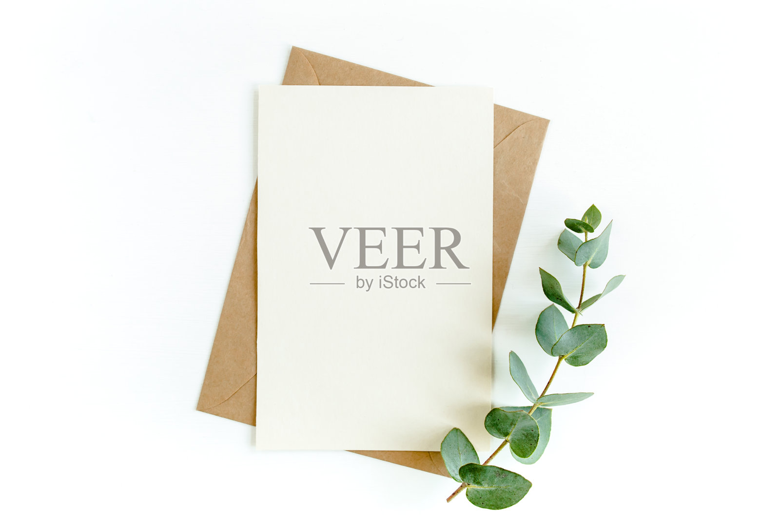 模拟邀请,空白贺卡和绿叶桉树。平躺,俯视图照片摄影图片