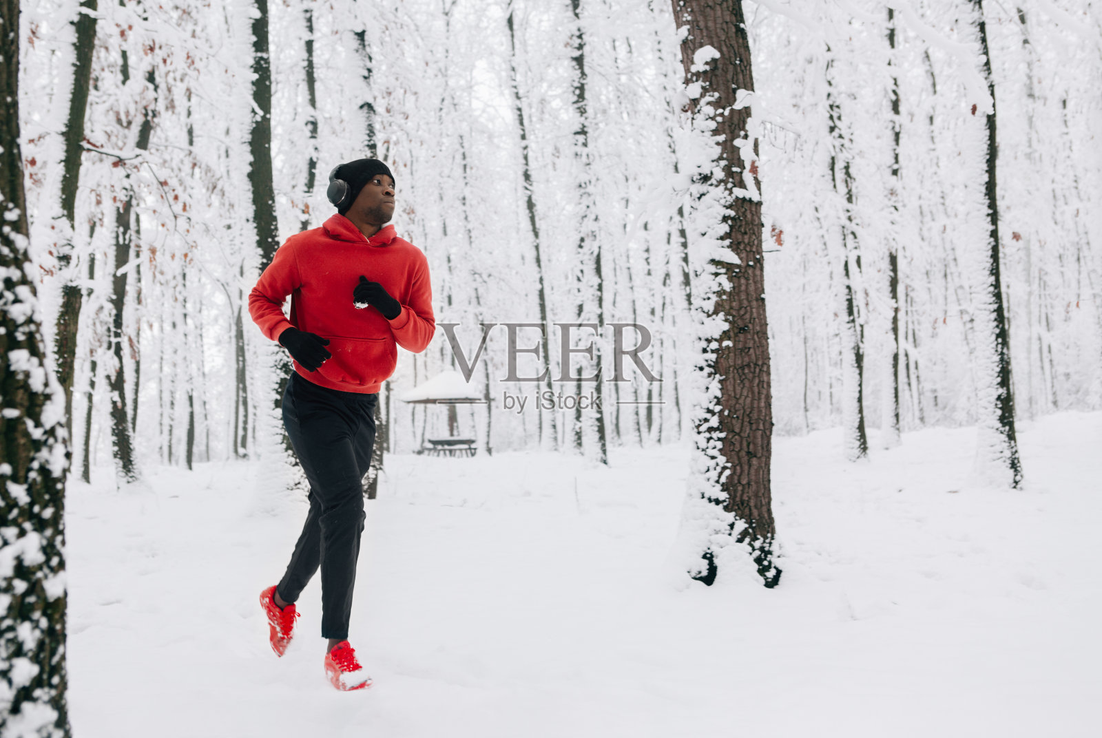 在冬日奔跑照片摄影图片