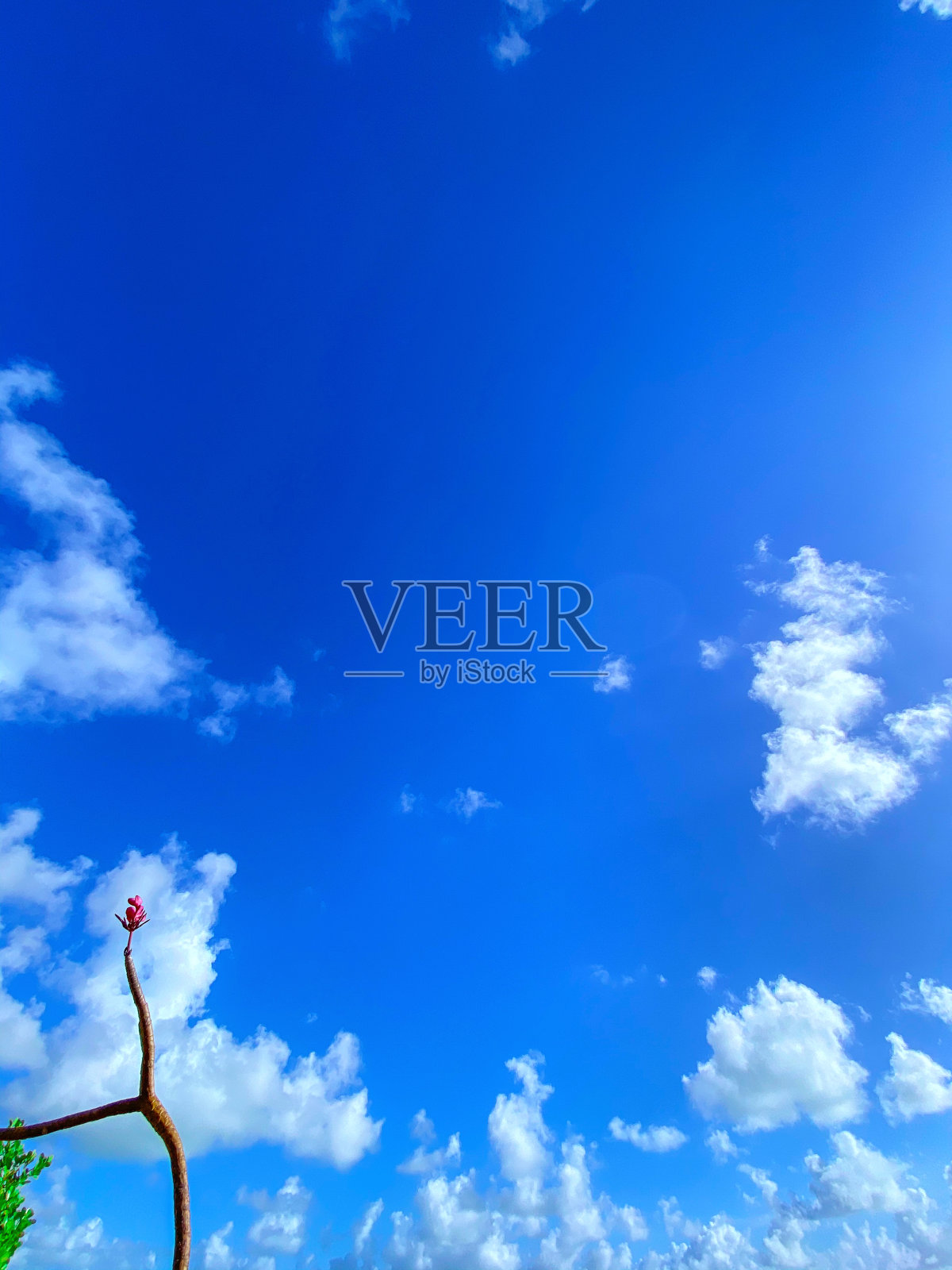 在巴西的一个海滩上捕捉到的蓝色阴影。照片摄影图片