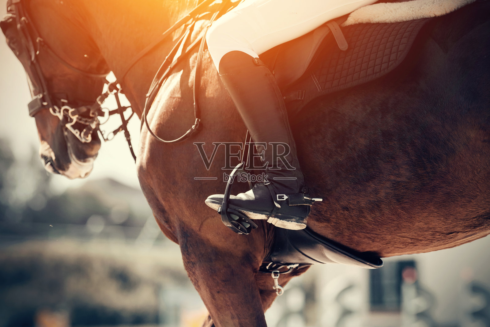 骑手的腿在马镫上,骑着一匹红马。照片摄影图片