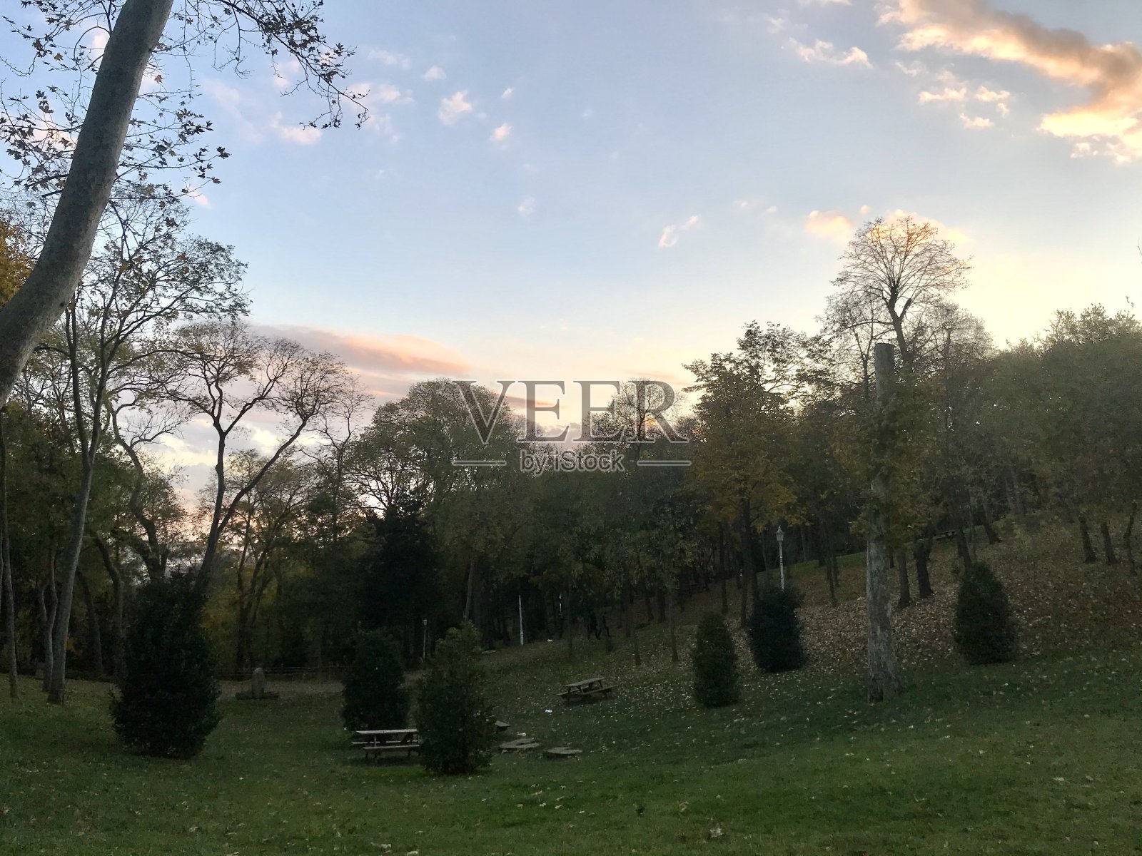 日落时公园的全景照片摄影图片