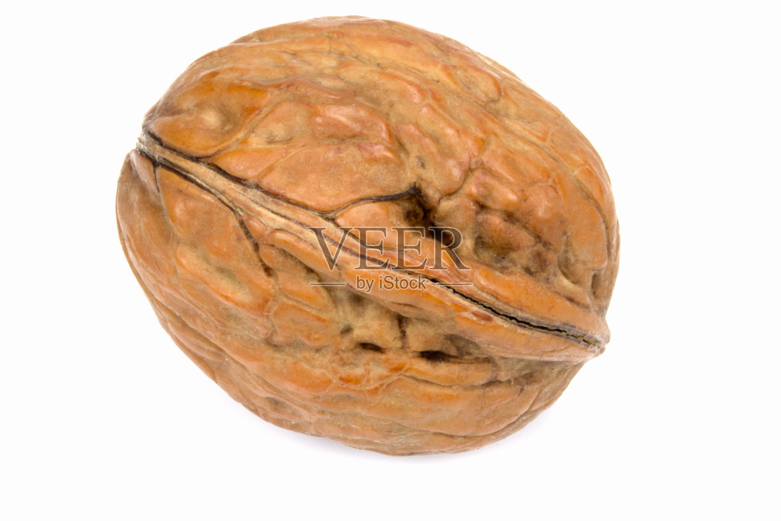 新鲜的核桃照片摄影图片