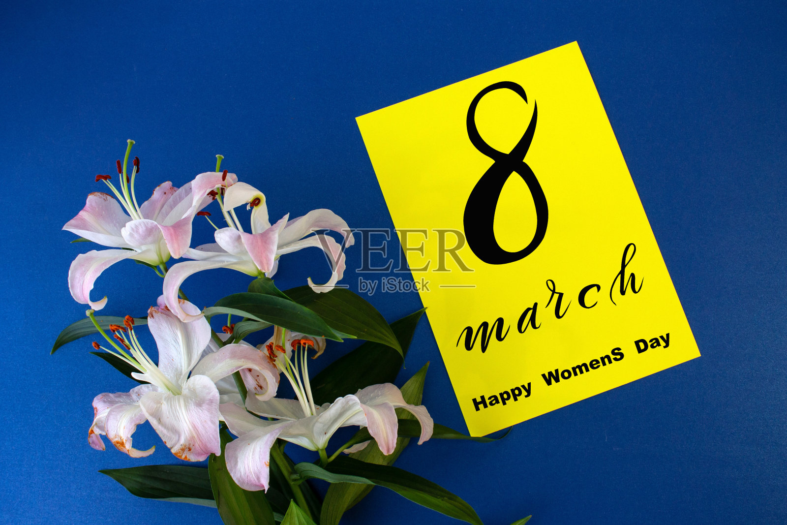 三八妇女节!3月8日的平铺,横幅,鲜花贺卡。照片摄影图片