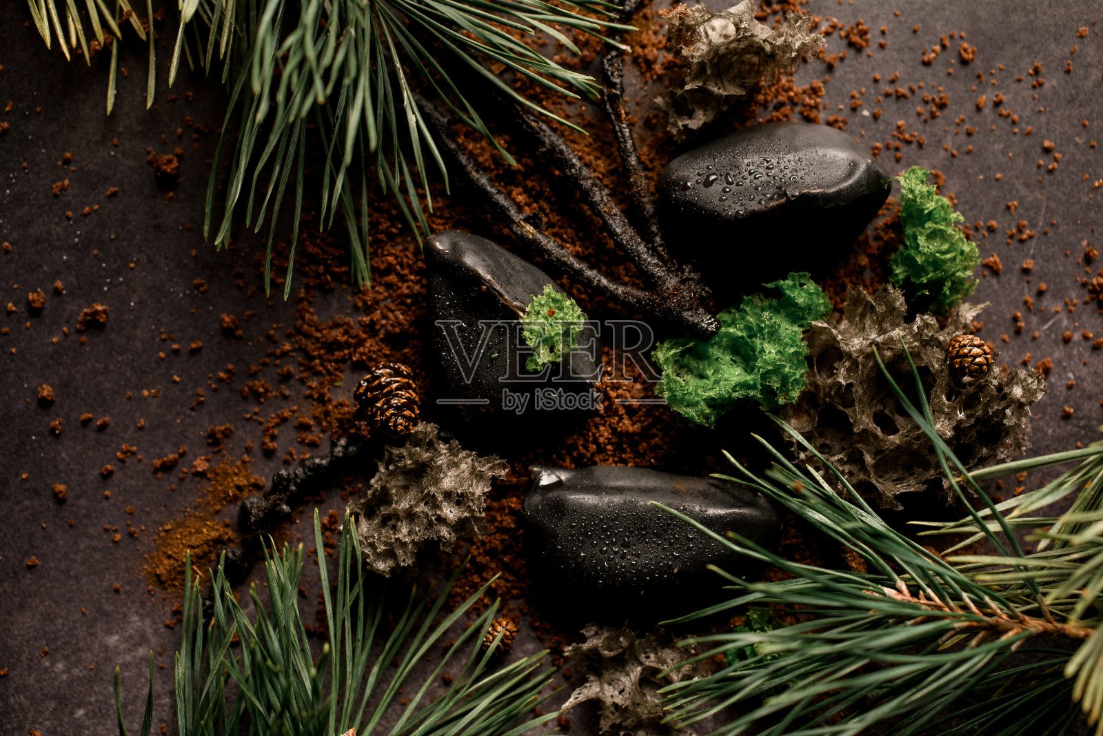 精致的分子现代菜肴菜肴装饰与木头和松枝的特写。照片摄影图片