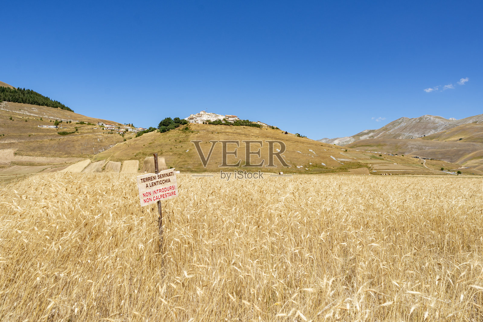 诺尔恰Castelluccio di Norcia的耕地。这个标志警告游客不要踩到小扁豆照片摄影图片