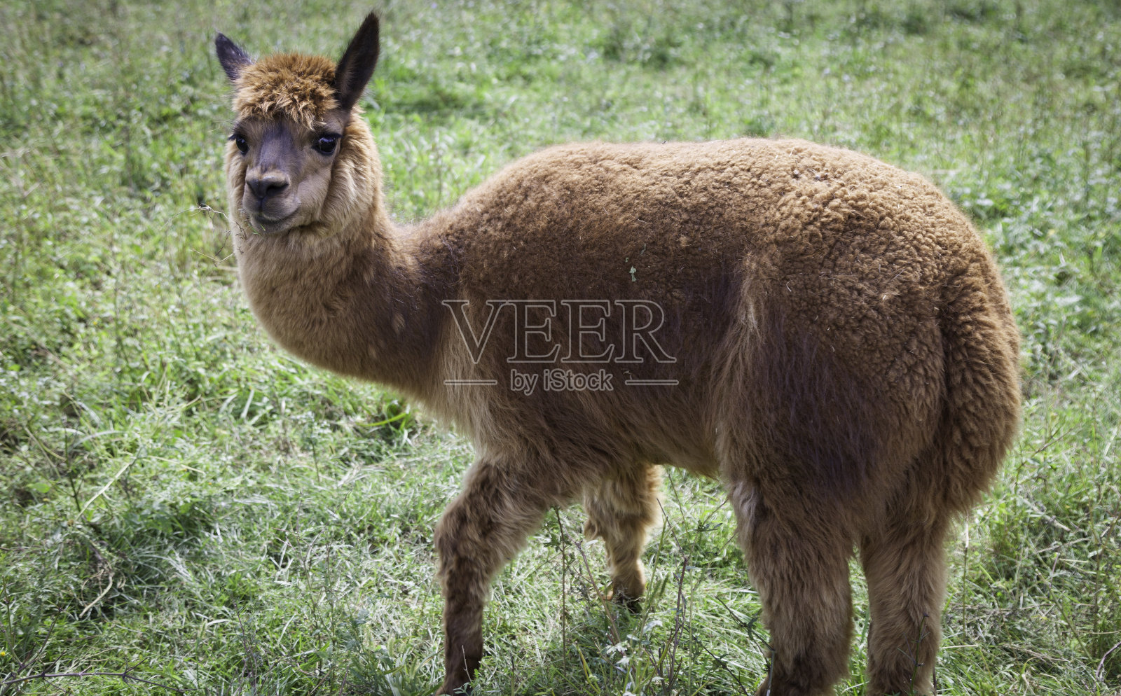 公园名字照片摄影图片