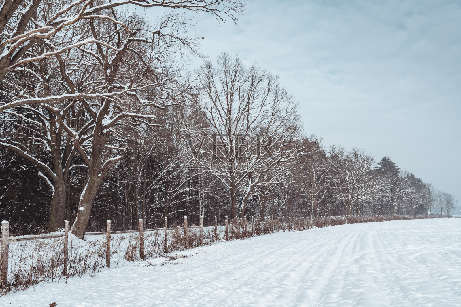 冬季景观有森林、道路和田野照片摄影图片