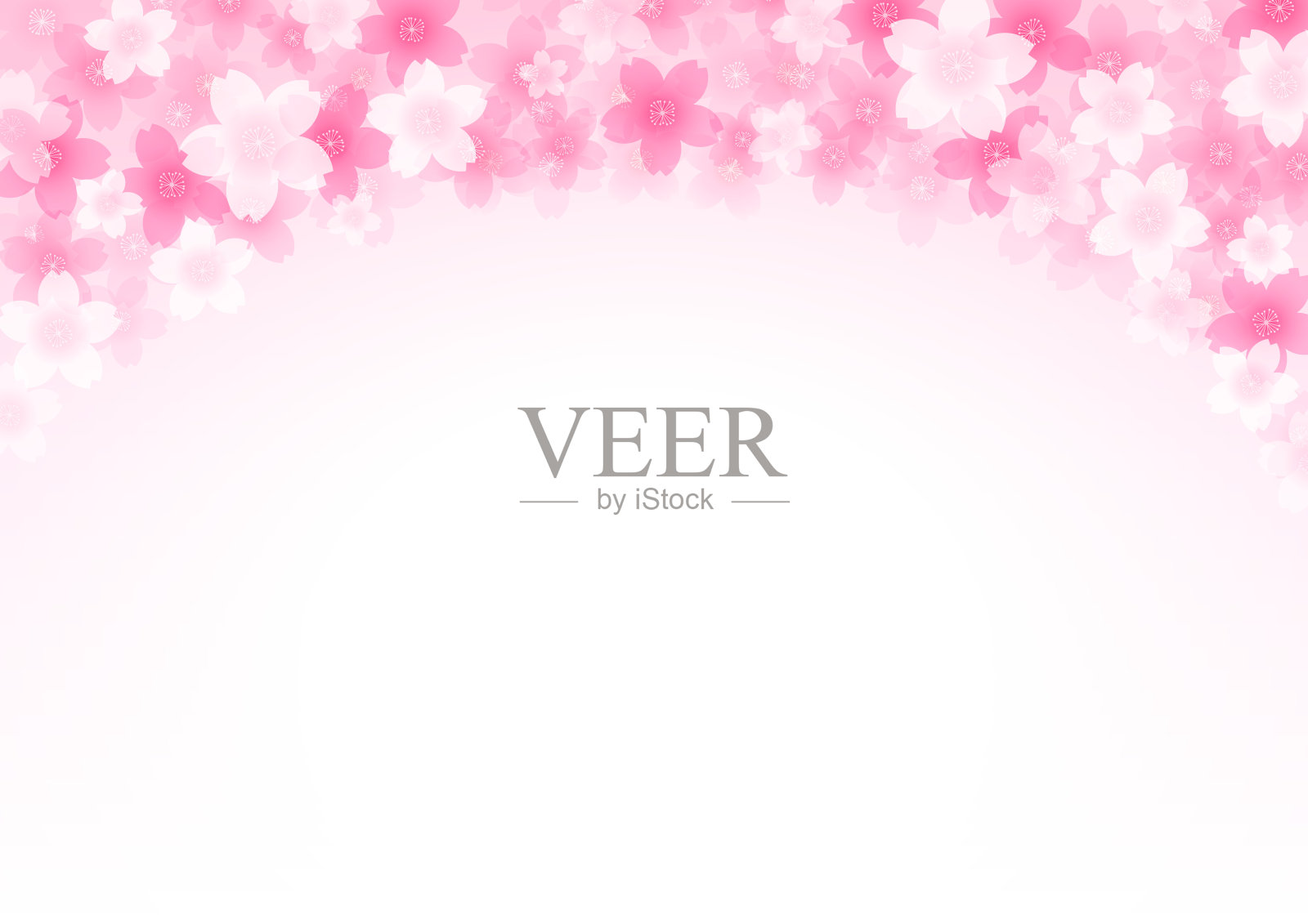 美丽的樱花背景,相框插画图片素材