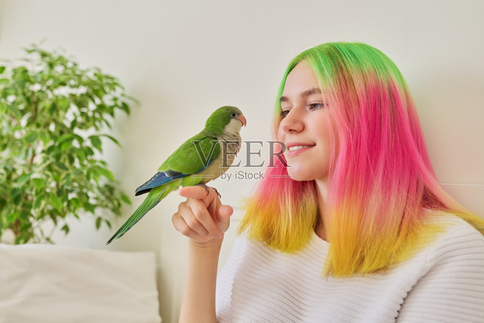 时髦少女手上戴着绿色鹦鹉照片摄影图片