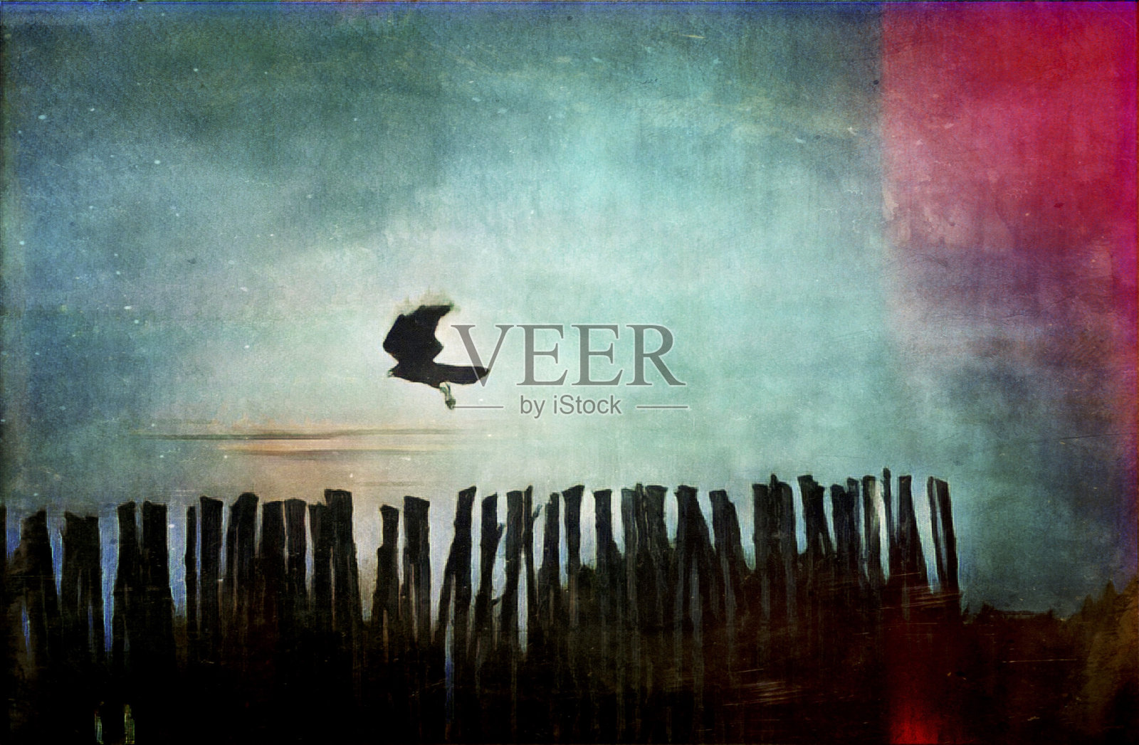 乌鸦之旅照片摄影图片