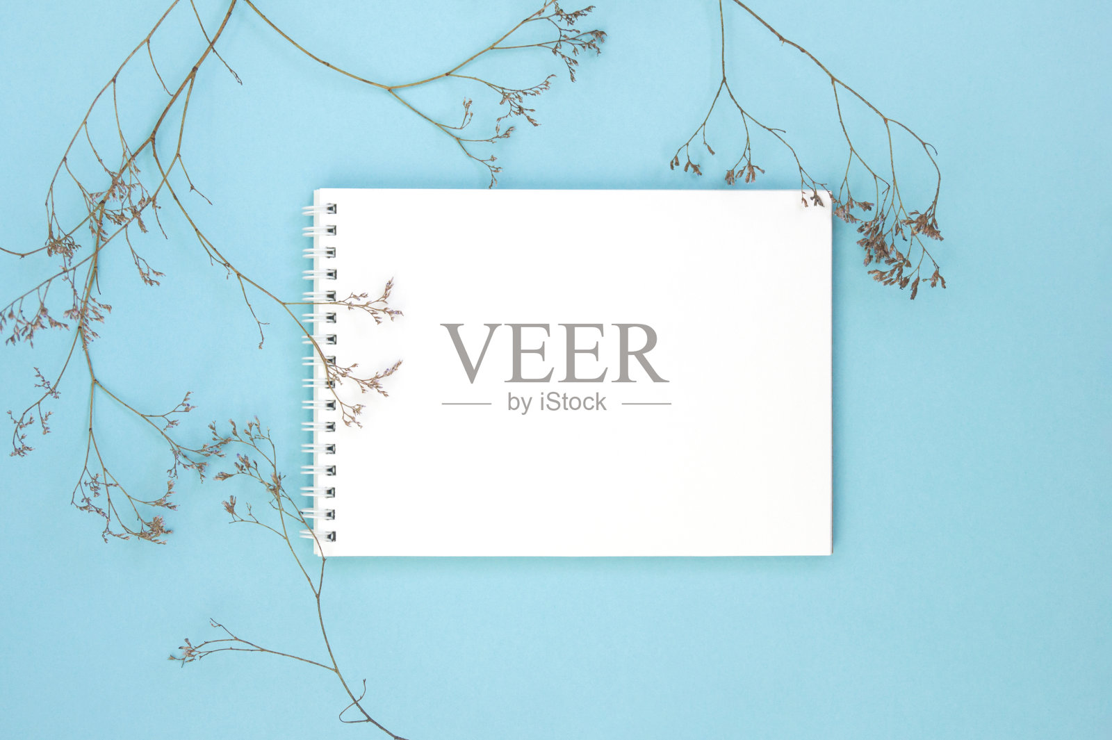 白色空白记事本和干花在一个蓝色的背景。设计和条目的模型,模板与文本的空间。照片摄影图片